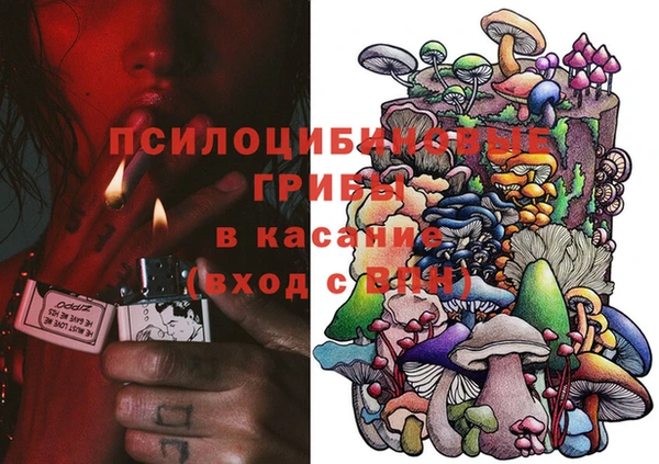 бошки Беломорск