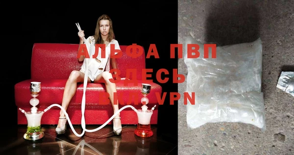 амф Белокуриха